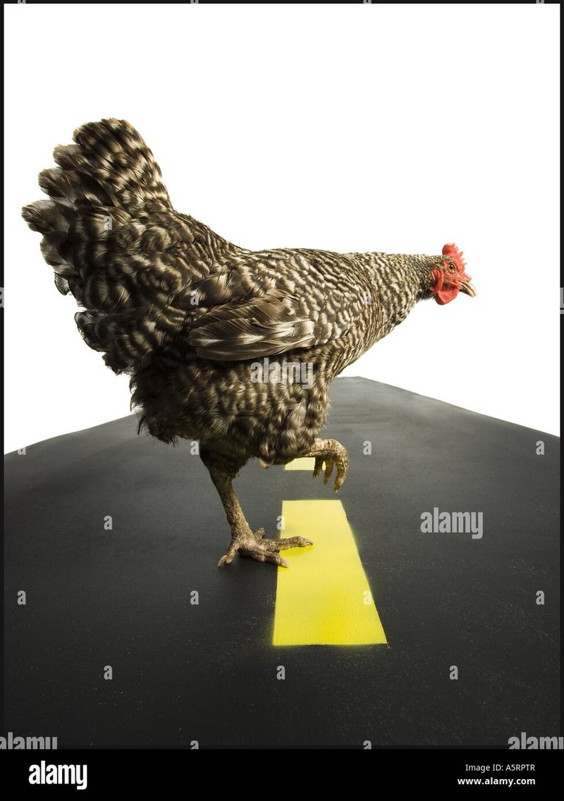 Spain - chicken road 2